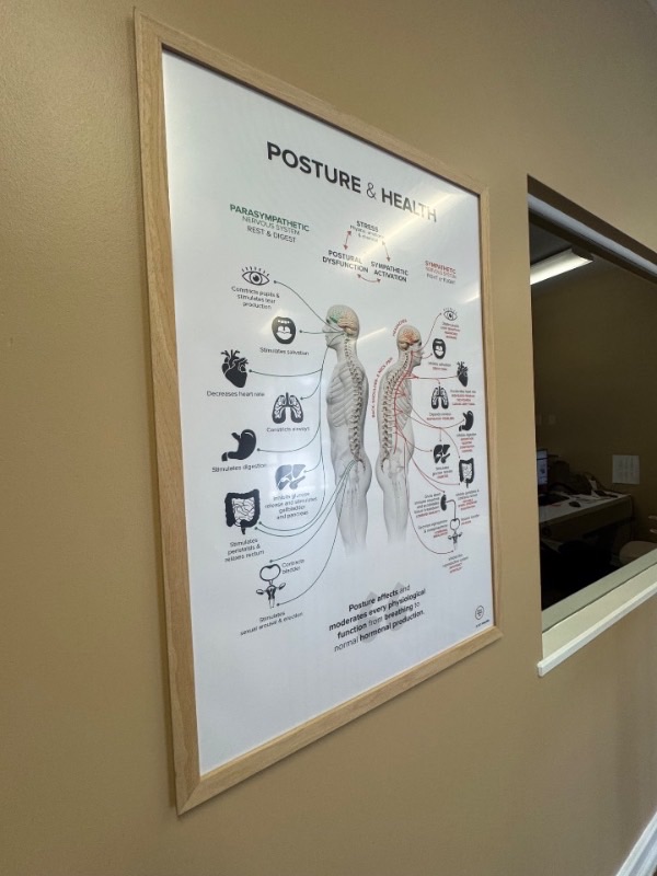 Posture & health